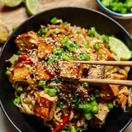 leek and tofu stir fry vegan recipe